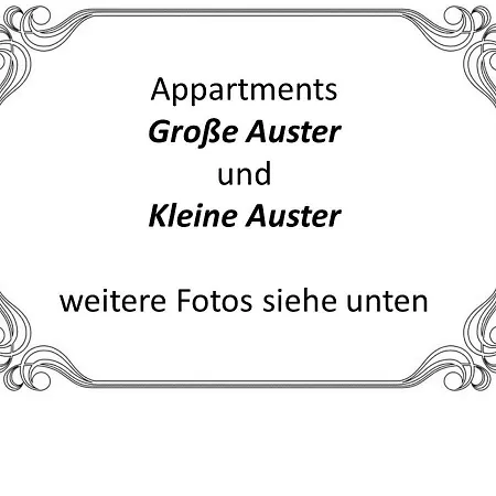 Auster-Appartements Saarbrücken Exterior foto